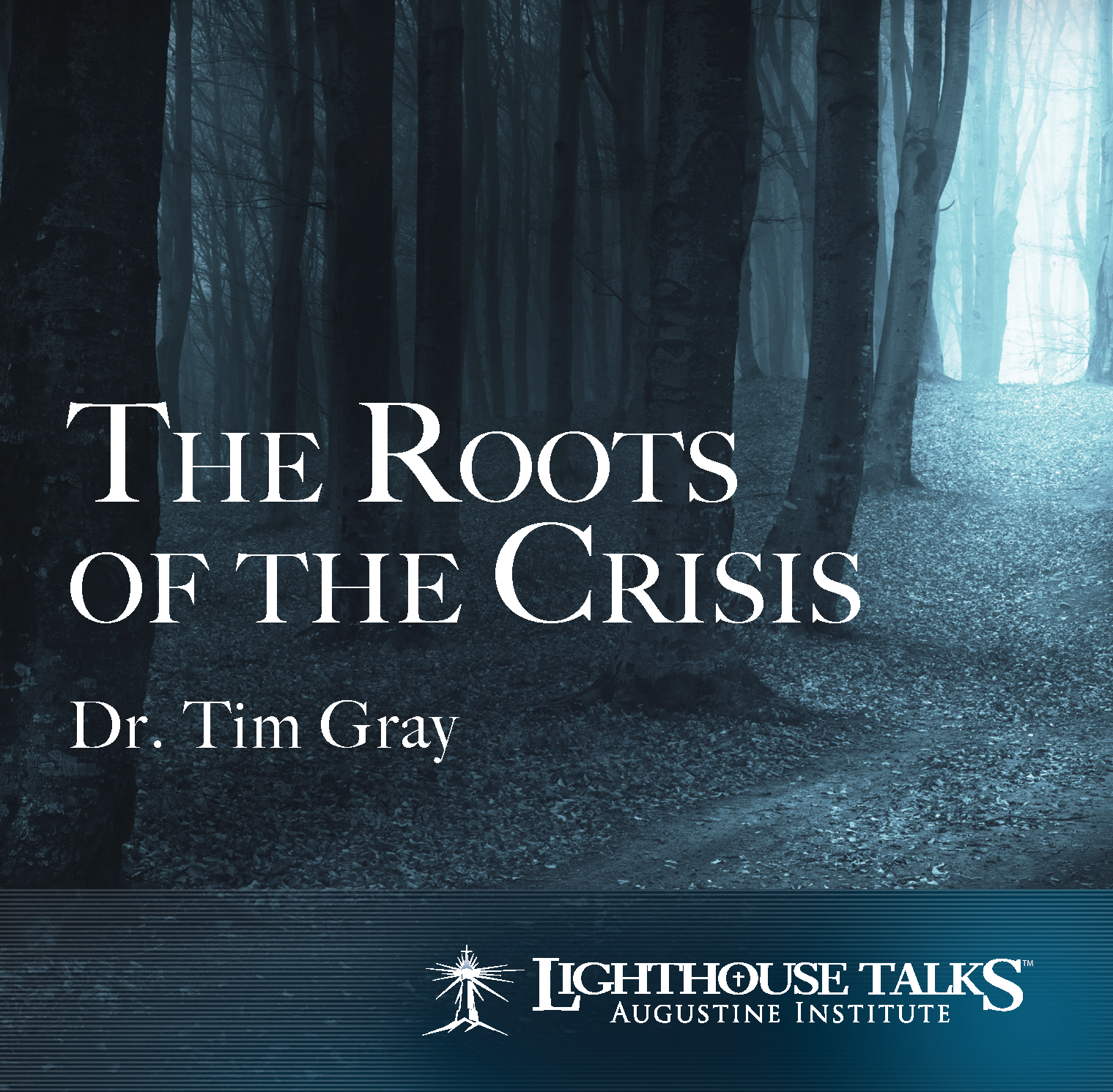 The Roots of The Crisis